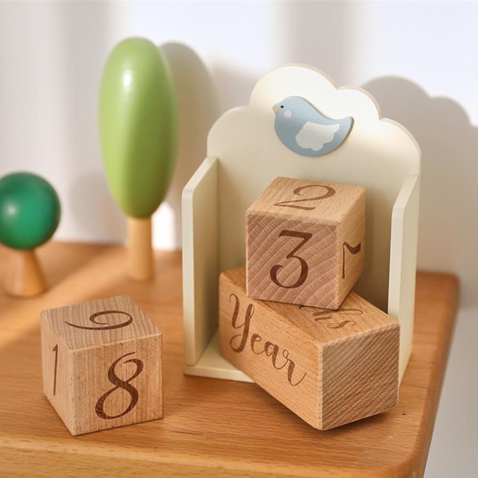 Wooden Baby Milestone Age Bloc - Baby Nursery Age incelemesi ve fiyatı